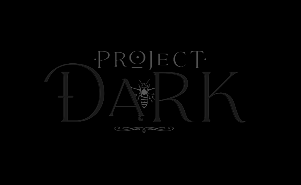 Project Dark-poster